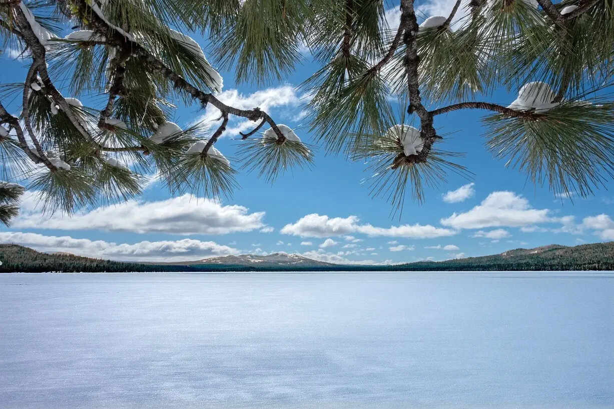 专注针织和梭织面料印染，受益行业集中度提升-——迎丰股份（605055.SH）投资价值分析报告